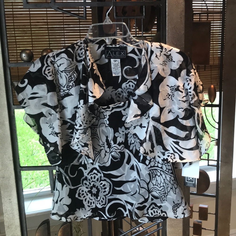 Alex Evening 2 piece blouse set